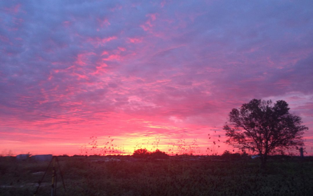 Katy, TX
